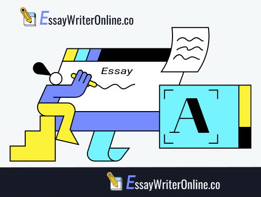 Essay Writer Online